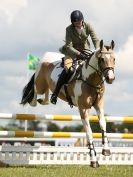 Image 10 in BURGHLEY YOUNG EVENT HORSE 5 YO AT HOUGHTON INTERNATIONAL  2015