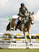 Image 10 in BURGHLEY YOUNG EVENT HORSE 5 YO AT HOUGHTON INTERNATIONAL 2015