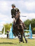 Image 11 in BURGHLEY YOUNG EVENT HORSE 5 YO AT HOUGHTON INTERNATIONAL  2015