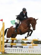 Image 13 in BURGHLEY YOUNG EVENT HORSE 5 YO AT HOUGHTON INTERNATIONAL  2015