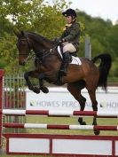 Image 14 in BURGHLEY YOUNG EVENT HORSE 5 YO AT HOUGHTON INTERNATIONAL  2015