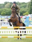 Image 15 in BURGHLEY YOUNG EVENT HORSE 5 YO AT HOUGHTON INTERNATIONAL 2015