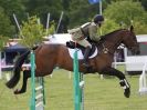 Image 16 in BURGHLEY YOUNG EVENT HORSE 5 YO AT HOUGHTON INTERNATIONAL 2015