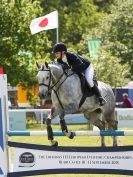 Image 17 in BURGHLEY YOUNG EVENT HORSE 5 YO AT HOUGHTON INTERNATIONAL  2015