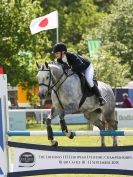 Image 17 in BURGHLEY YOUNG EVENT HORSE 5 YO AT HOUGHTON INTERNATIONAL 2015