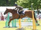 Image 18 in BURGHLEY YOUNG EVENT HORSE 5 YO AT HOUGHTON INTERNATIONAL  2015