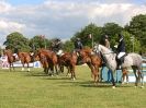 Image 19 in BURGHLEY YOUNG EVENT HORSE 5 YO AT HOUGHTON INTERNATIONAL 2015