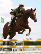 Image 2 in BURGHLEY YOUNG EVENT HORSE 5 YO AT HOUGHTON INTERNATIONAL 2015