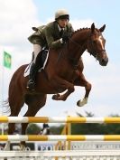 Image 2 in BURGHLEY YOUNG EVENT HORSE 5 YO AT HOUGHTON INTERNATIONAL  2015