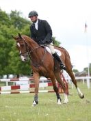Image 5 in BURGHLEY YOUNG EVENT HORSE 5 YO AT HOUGHTON INTERNATIONAL  2015