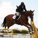 Image 7 in BURGHLEY YOUNG EVENT HORSE 5 YO AT HOUGHTON INTERNATIONAL  2015