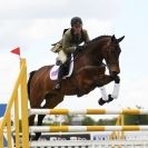 Image 8 in BURGHLEY YOUNG EVENT HORSE 5 YO AT HOUGHTON INTERNATIONAL 2015
