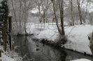 JANUARY SNOW IN KESSINGLAND  2013