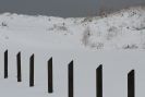 Image 3 in JANUARY SNOW IN KESSINGLAND  2013