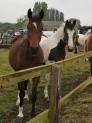 Image 75 in OVERA FARM  SHOW JUMPING. SENIORS.  14 JUNE 2015