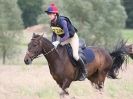 Image 14 in STRATFORD HILLS 2015. DAY 2 CROSS COUNTRY.