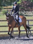 Image 14 in BROADS DRESSAGE  27 JUNE 2015