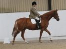 Image 23 in BROADS DRESSAGE  27 JUNE 2015