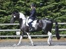 Image 6 in BROADS DRESSAGE  27 JUNE 2015