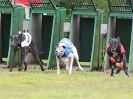 Image 15 in CHAMPS 28 JUNE 2015