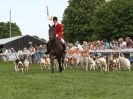 ROYAL NORFOLK SHOW  2015.  THE HOUNDS