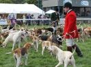 Image 11 in ROYAL NORFOLK SHOW  2015.  THE HOUNDS