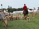 Image 2 in ROYAL NORFOLK SHOW  2015.  THE HOUNDS