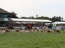 Image 4 in ROYAL NORFOLK SHOW  2015.  THE HOUNDS