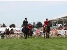 Image 6 in ROYAL NORFOLK SHOW  2015.  THE HOUNDS