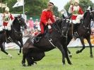 Image 12 in HOUSEHOLD CAVALRY AT ROYAL NORFOLK SHOW 2015