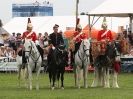 Image 14 in HOUSEHOLD CAVALRY AT ROYAL NORFOLK SHOW 2015