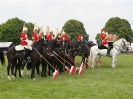 Image 18 in HOUSEHOLD CAVALRY AT ROYAL NORFOLK SHOW 2015