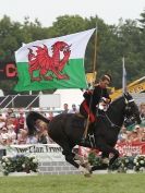 Image 22 in HOUSEHOLD CAVALRY AT ROYAL NORFOLK SHOW 2015