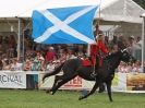 Image 23 in HOUSEHOLD CAVALRY AT ROYAL NORFOLK SHOW 2015