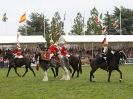 Image 3 in HOUSEHOLD CAVALRY AT ROYAL NORFOLK SHOW 2015