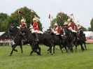 Image 4 in HOUSEHOLD CAVALRY AT ROYAL NORFOLK SHOW 2015