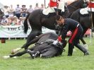 Image 5 in HOUSEHOLD CAVALRY AT ROYAL NORFOLK SHOW 2015