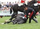 Image 5 in HOUSEHOLD CAVALRY AT ROYAL NORFOLK SHOW 2015