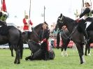 Image 6 in HOUSEHOLD CAVALRY AT ROYAL NORFOLK SHOW 2015