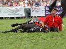 Image 7 in HOUSEHOLD CAVALRY AT ROYAL NORFOLK SHOW 2015