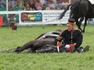 Image 8 in HOUSEHOLD CAVALRY AT ROYAL NORFOLK SHOW 2015