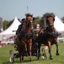 SCURRY DRIVING. ROYAL NORFOLK SHOW  2015