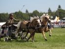 Image 12 in SCURRY DRIVING. ROYAL NORFOLK SHOW  2015