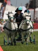 Image 13 in SCURRY DRIVING. ROYAL NORFOLK SHOW  2015