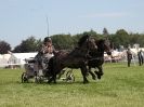 Image 16 in SCURRY DRIVING. ROYAL NORFOLK SHOW  2015