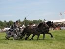 Image 17 in SCURRY DRIVING. ROYAL NORFOLK SHOW  2015