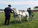 Image 19 in SCURRY DRIVING. ROYAL NORFOLK SHOW  2015