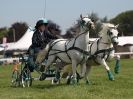 Image 2 in SCURRY DRIVING. ROYAL NORFOLK SHOW  2015