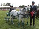 Image 21 in SCURRY DRIVING. ROYAL NORFOLK SHOW  2015