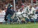 Image 26 in SCURRY DRIVING. ROYAL NORFOLK SHOW  2015